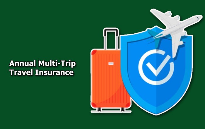 Annual Multi-Trip Travel Insurance - kttpharm