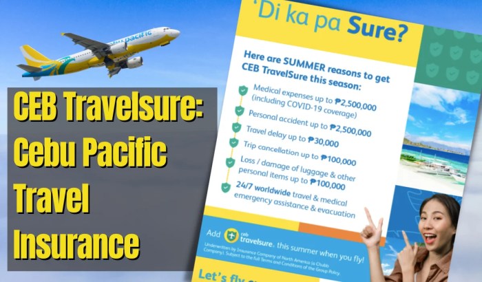 CEB Travelsure - Cebu Pacific Travel Insurance for When You Need it Most