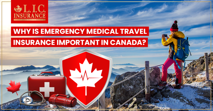 Why is Emergency Medical Travel Insurance Important in Canada