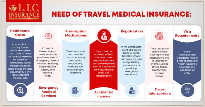 Canadian LIC Compares Travel Medical Insurance Plans