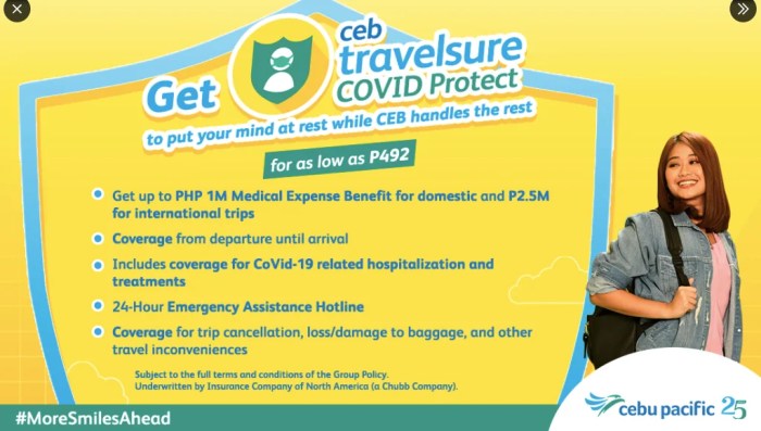 CEB Travelsure - Cebu Pacific Travel Insurance for When You Need it Most