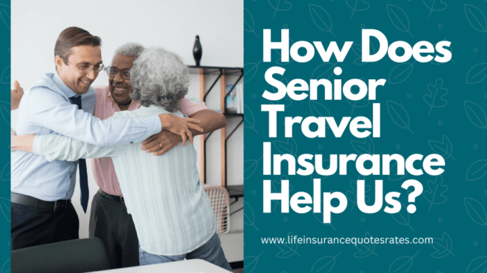 Best Seniors Travel Insurance Over 65 Quotes [Compare Rates]