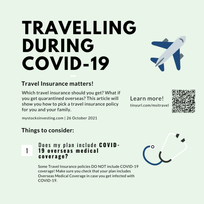 Travel Insurance During COVID-19: Which Should You Get? (VTL) — Engage